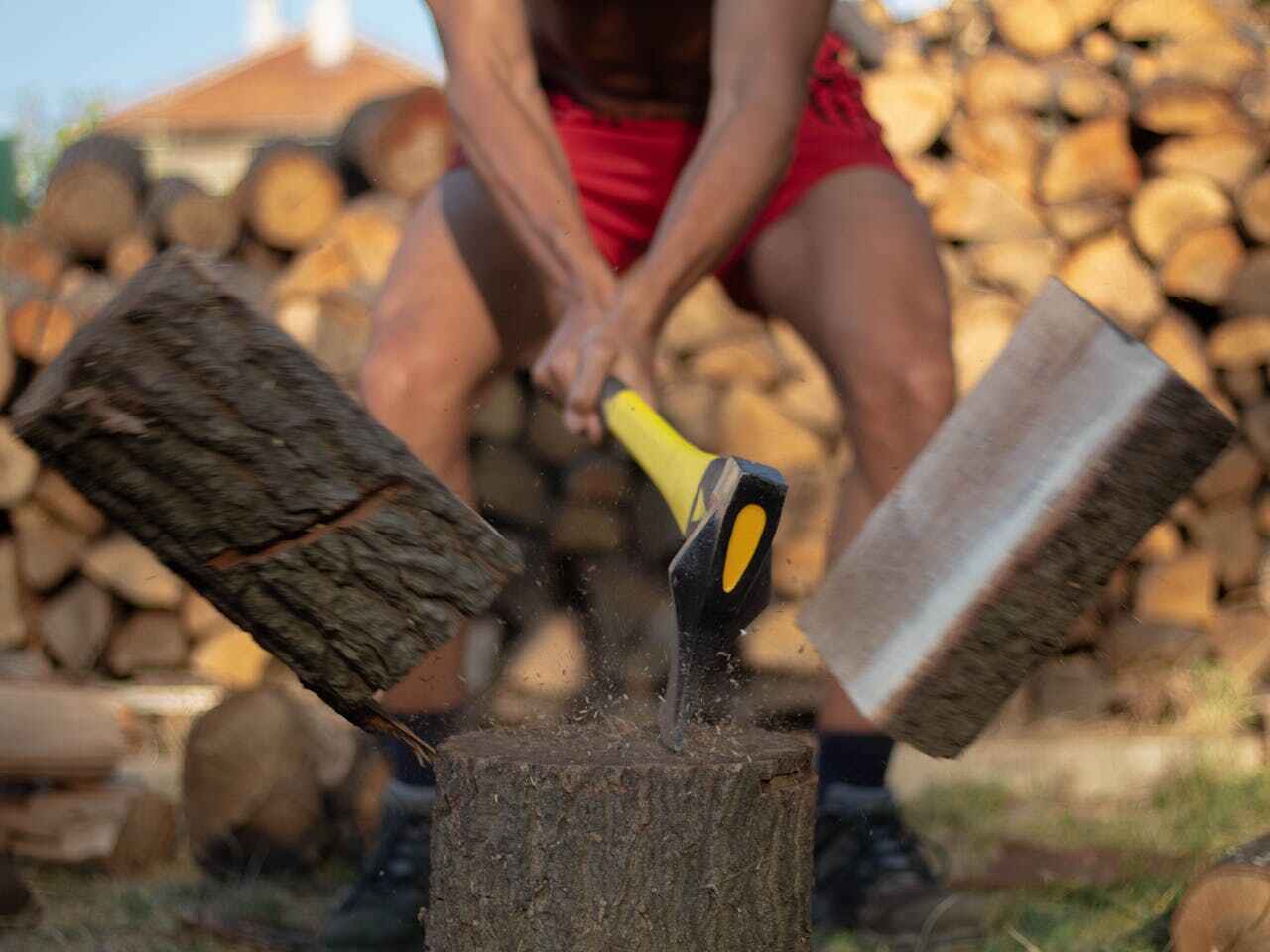 Best Stump Grinding Near Me  in Holiday Shores, IL